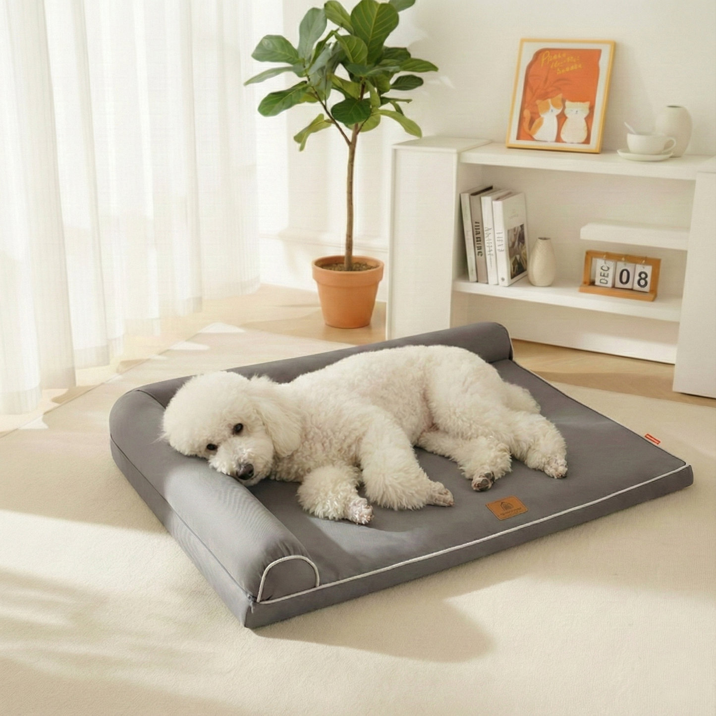 Perro Puddle acostado descansando en cama gris de espuma y forro lavable